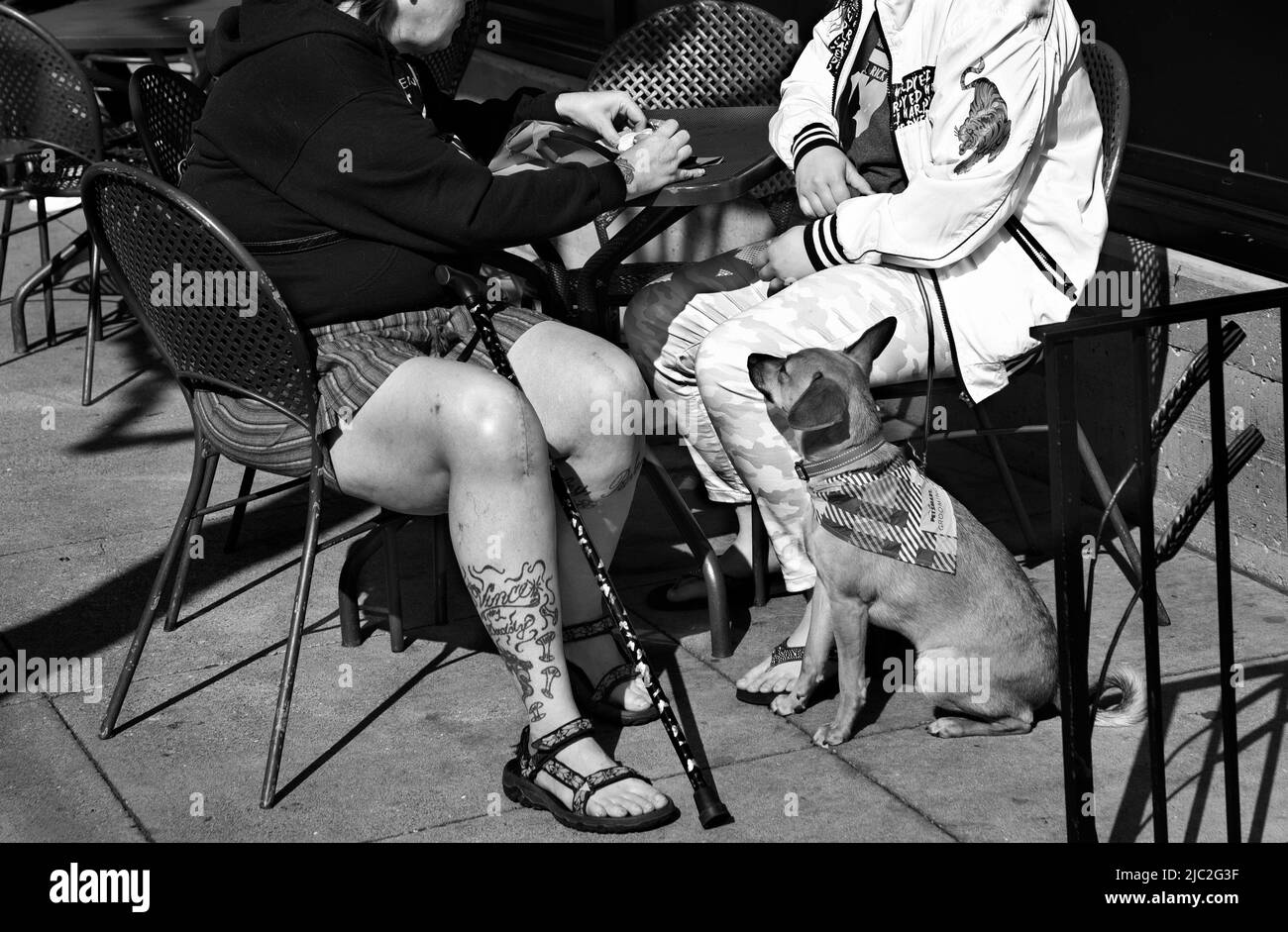 Due donne si divertiranno a cenare all'aperto con il proprio cane nel famoso quartiere Fisherman's Wharf di San Francisco, California. Foto Stock