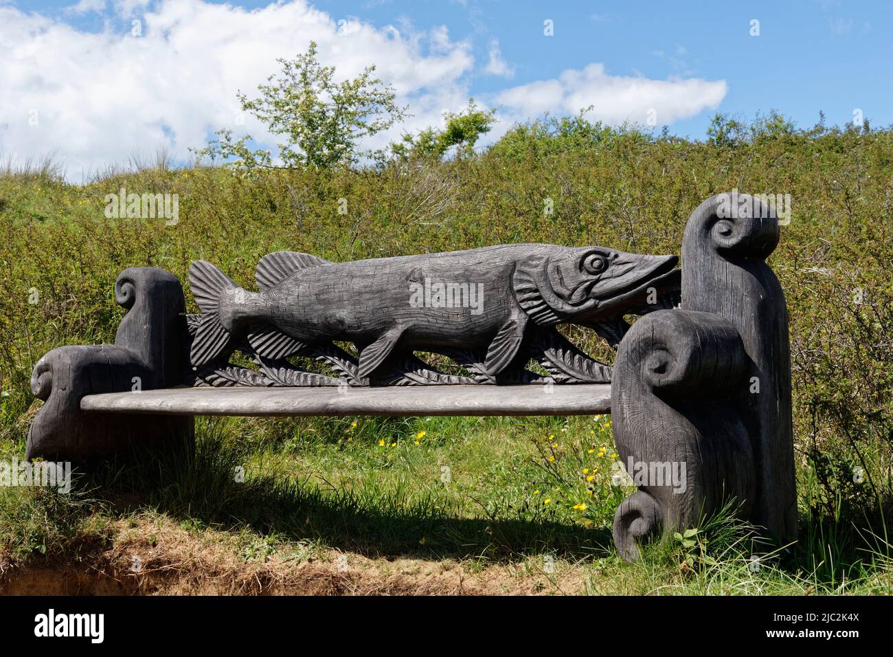 Panca di legno intagliata sotto forma di un luccio tra dune di sabbia accanto a Kenfig Pool, Kenfig NNR, Glamorgan, Galles, UK, Maggio. Foto Stock