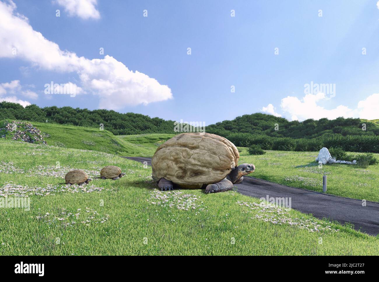 le tartarughe giganti di noce. mondo. Illustrazione creativa di 3D fantasy Foto Stock