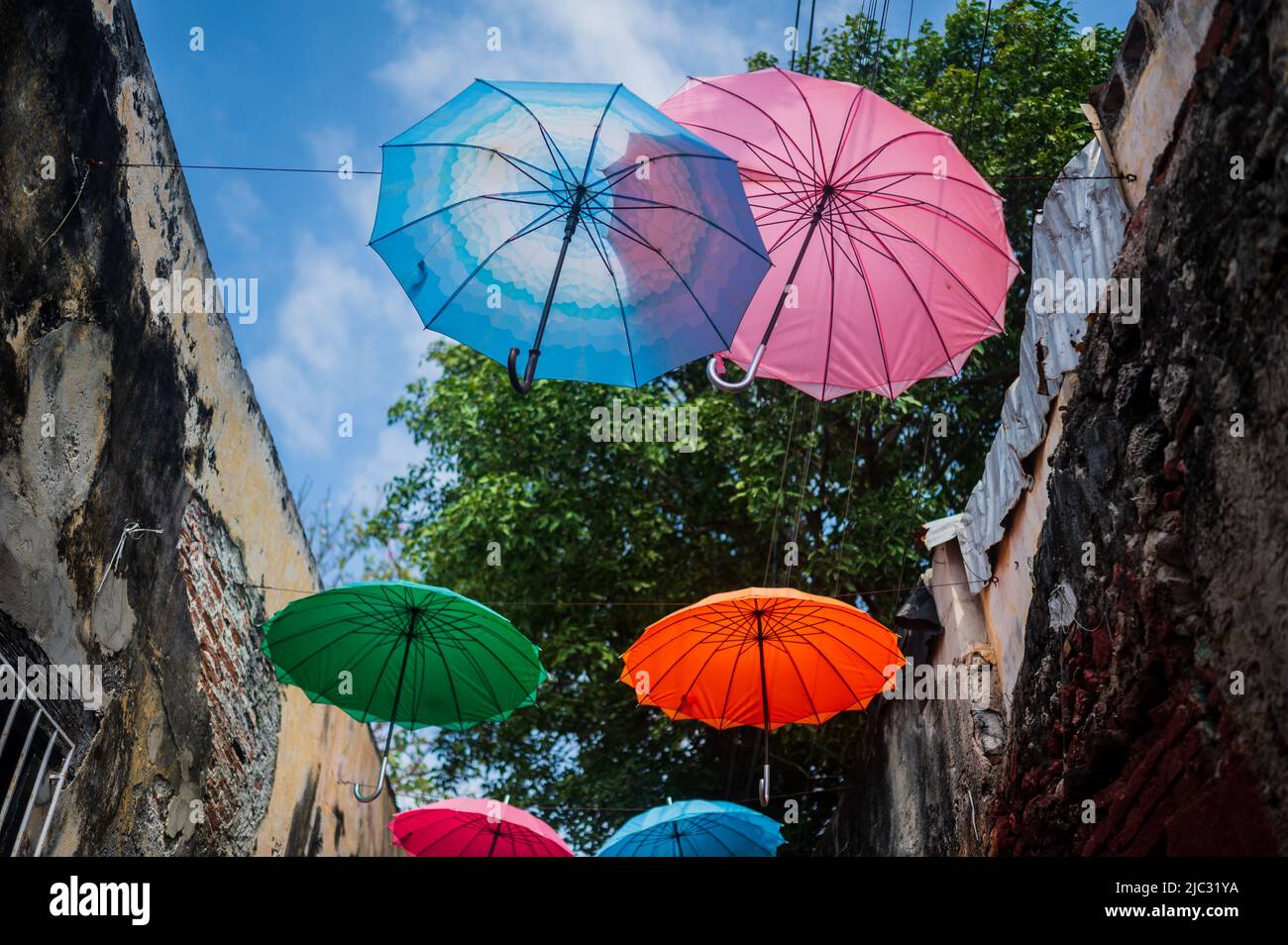 Popolare strada coperta di ombrello nel quartiere fresco di Getsemani, Cartagena de Indias, Colombia Foto Stock