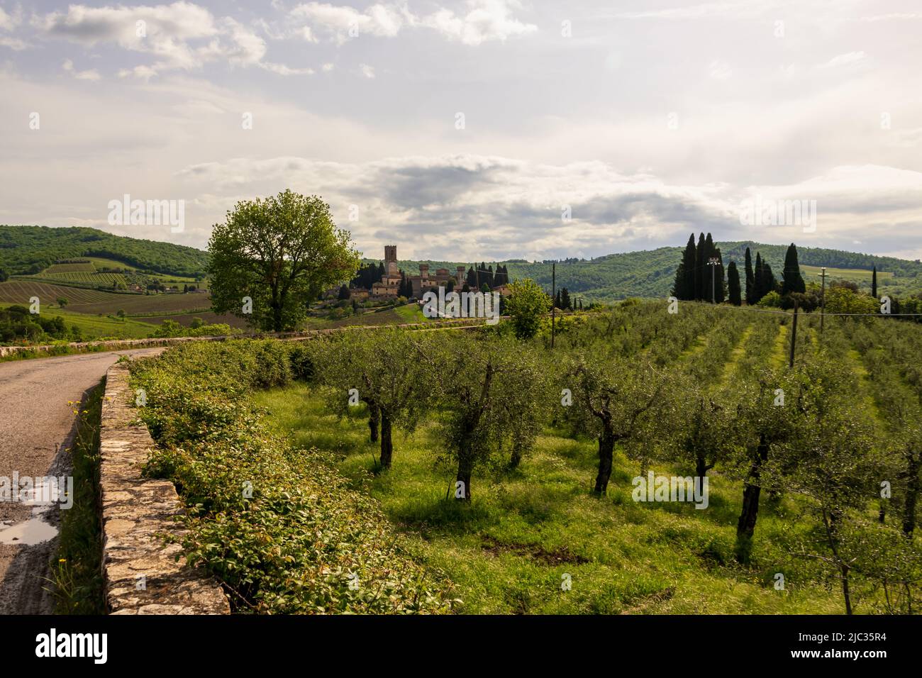 Panorama di Badia A Passignano circondato da vigneti e oliveti Foto Stock