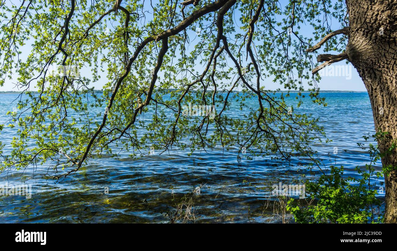 Splendida vista sul lago orientale di Plauer See Foto Stock