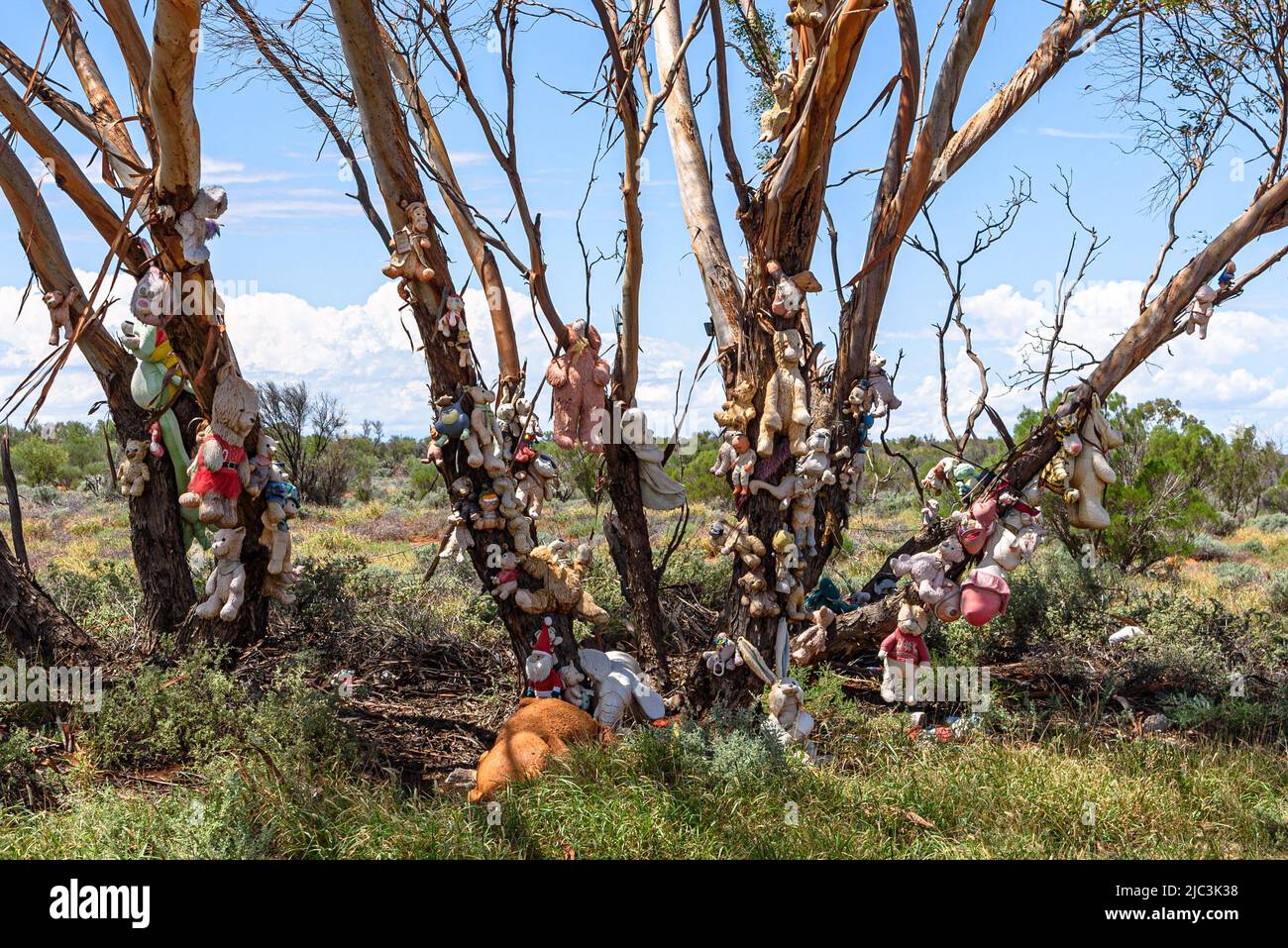 Animali ripieni / giocattoli in alberi lungo la Barrier Highway appena ad ovest di Wilcannia, nuovo Galles del Sud Foto Stock