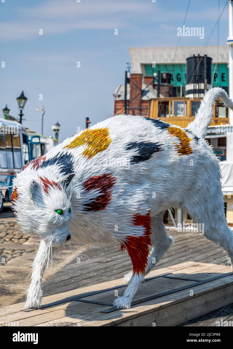 Cat Sculpture all'Albert Dock di Liverpool, Inghilterra. Foto Stock