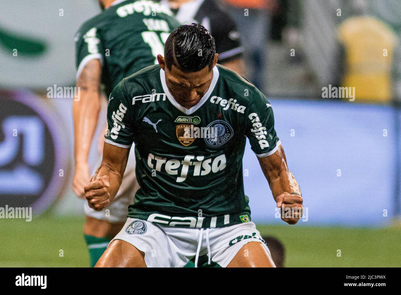 São PAULO, SP - 09.06.2022: PALMEIRAS X BOTAFOGO - Rony celebra il traguardo nella partita tra Palmeiras X Botafogo RJ, valida per il round 10th della Serie a 2022 Campionato di calcio brasiliano, che si tiene ad Allianz Parque, nella notte di questo giovedì 9 giugno 2022. (Foto: Van Campos/Fotoarena) Foto Stock