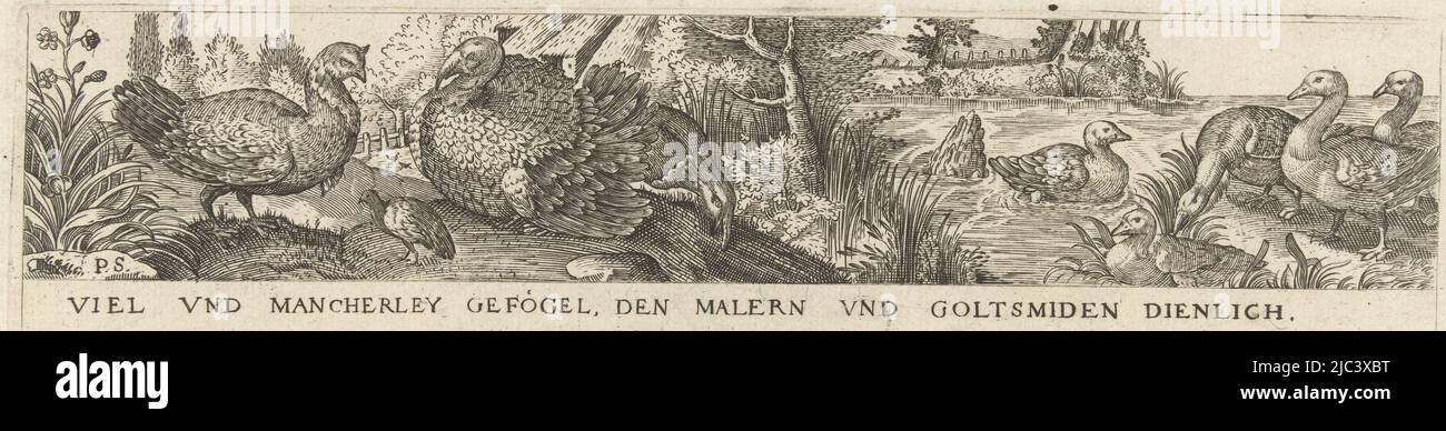 Sulla destra cinque anatre dentro e vicino all'acqua. A sinistra ci sono due tacchini e un piccolo uccello. Numero 1 della serie di 12 fogli numerati., Title page, fregio con nove uccelli Viel und mancherley Gefgel, den Malern und Goltsmiden dienlich (title on Object) Viel und mancherley Gefgel, den Malern und Goltsmiden dienlich (titolo della serie), tipografia: Pieter Serwouters, (menzionato sull'oggetto), Hans Geaert, Olanda (i), Marcaert, Olanda (i) (possibilmente), c.. 1607, carta, incisione, h 54 mm x l 215 mm Foto Stock