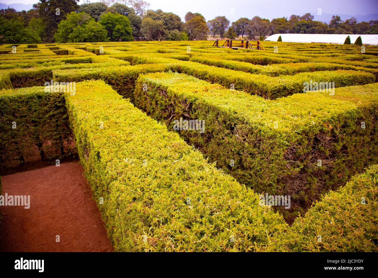 labirinto di cespugli in un grande giardino Foto Stock