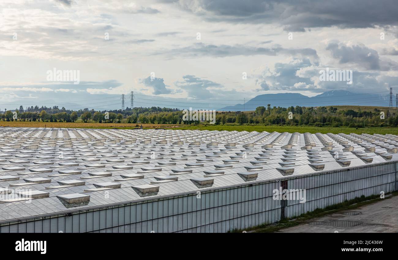 Serre di vetro dall'alto al tramonto. Agricoltura. Verde. Tecnologie contemporanee. Moderna grande serra commerciale costruzione pro Foto Stock
