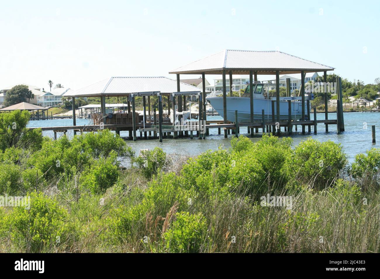 Vita sulle rive delle baie alla linea Florida/Alabama Foto Stock