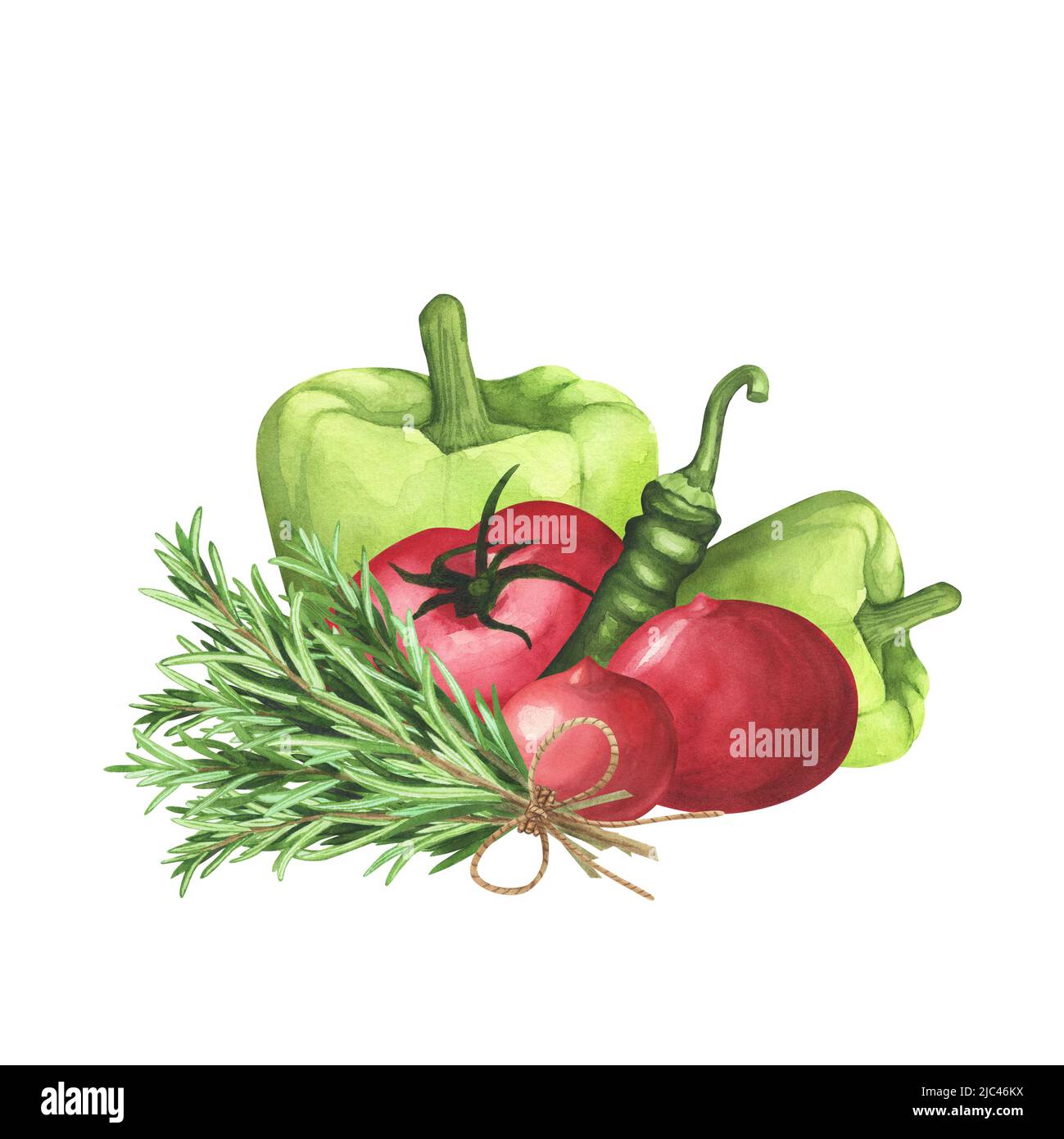 Pomodori maturi, rosmarino fresco, peperone verde su sfondo bianco. Illustrazione del disegno a mano dell'acquerello. Arte per menu di disegno, confezionamento, PR organico Foto Stock