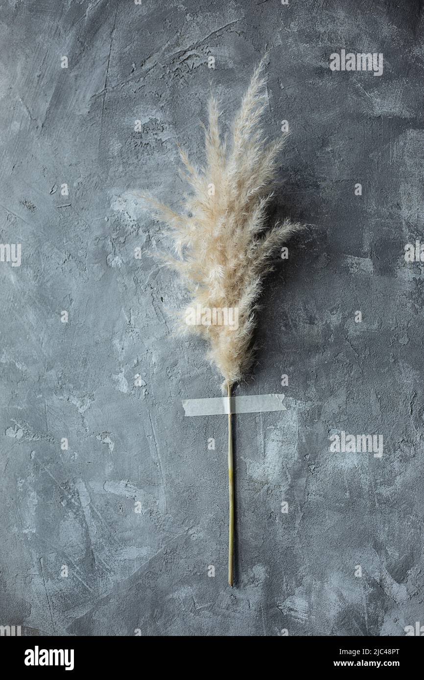 Foto di eco concetto di arredamento domestico organico, asciuga twig attaccare con nastro adesivo sul muro grigio di intonaco strisciato. Produzione senza sprechi di interni Foto Stock