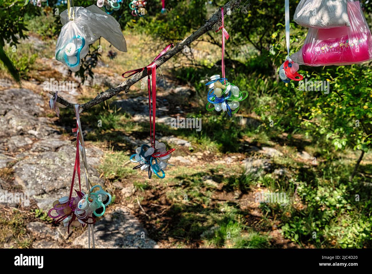 Molti dummies scartati e bottiglie colorate della tettarella in sacchetti di plastica appendono su un albero, albero dummy, svezzamento, Svezia Foto Stock