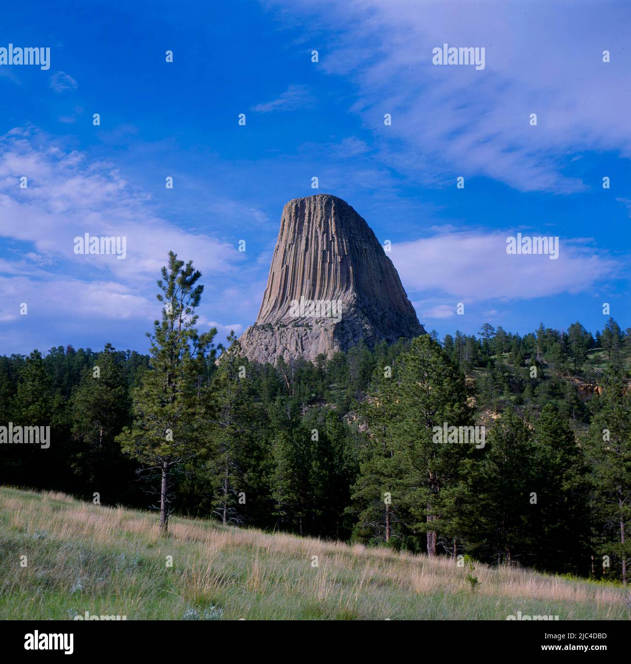 Torre dei diavoli, Mateo Tepee Devils Tower National Monument Wyoming USA, Devils Tower, Torre dei diavoli, Mateo Tepee Devils Tower Nationwide Foto Stock