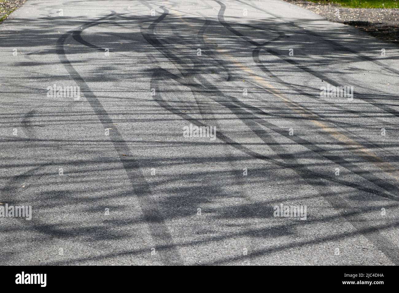 Stampe di pneumatici su una strada di campagna, provincia di Quebec, Canada Foto Stock