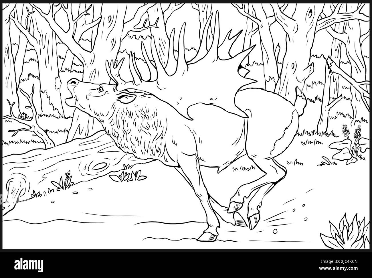 Animali preistorici - giganteschi cervi megaloceros. Disegno con animali estinti. Modello per libro da colorare. Foto Stock
