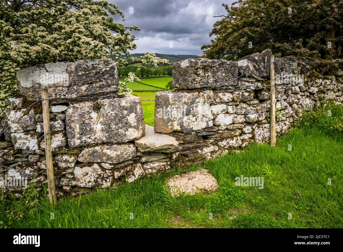 Una pietra sulla discesa a Cartmel nella campagna Cumbria, Lake District, Inghilterra Foto Stock