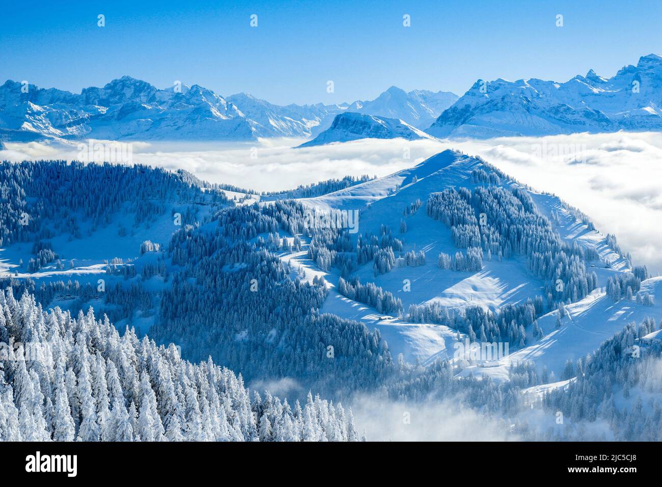 Aussicht von der Rigi mit Nebelmeer swie frisch verschneiten Fichten und den Unrer Alpen, Kanton Schwyz, Schweiz *** Caption locale *** le Alpi, vie Foto Stock