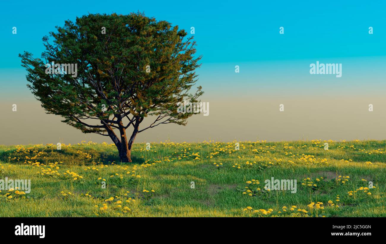 sfondo paesaggio un albero solitario di diffusione conifere in un prato fiorente. il concetto di ecologia naturale incontaminata pulita Foto Stock