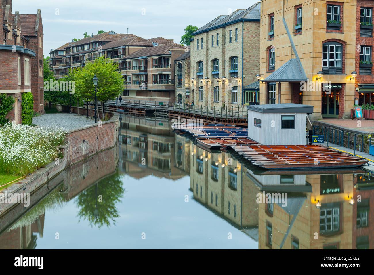 Dawn on River Cam a Cambridge, Inghilterra. Foto Stock