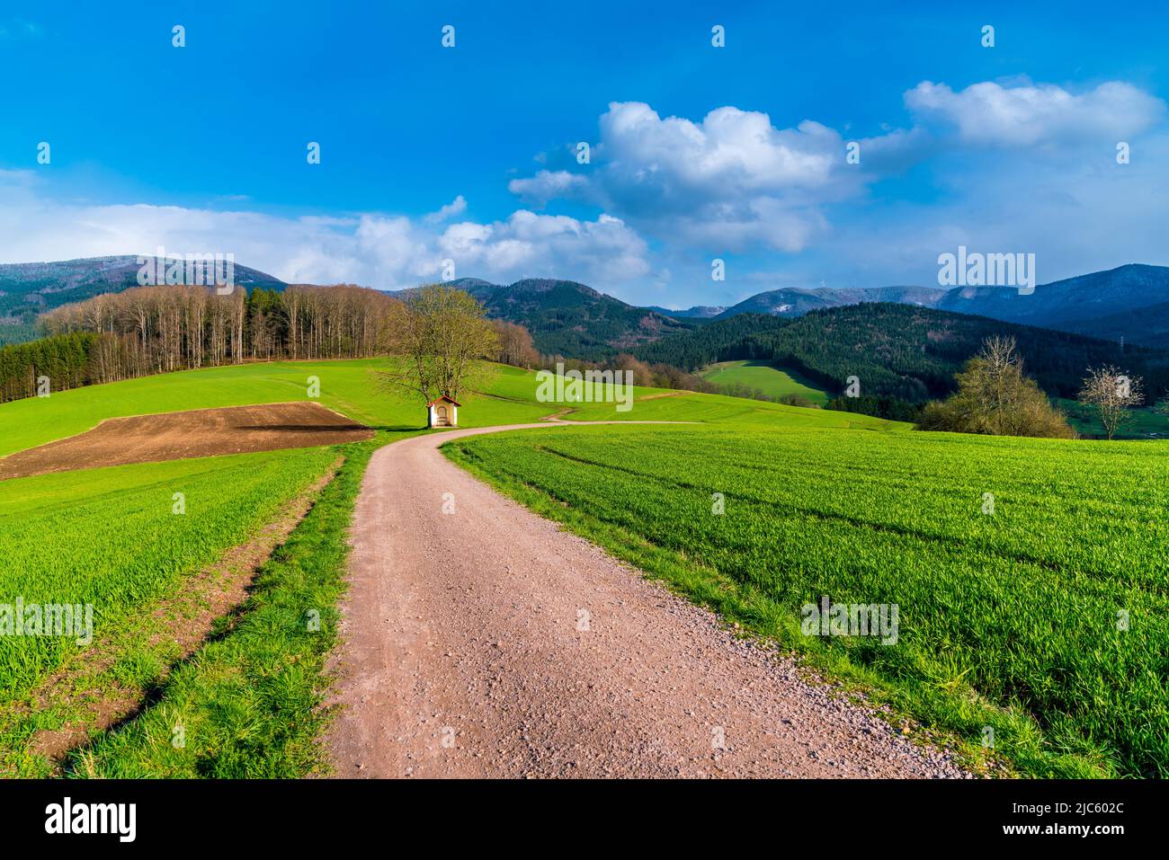 Germania, Schwarzwald paesaggio naturale vista panoramica con cime innevate in primavera al tramonto, regione turistica per escursioni Foto Stock