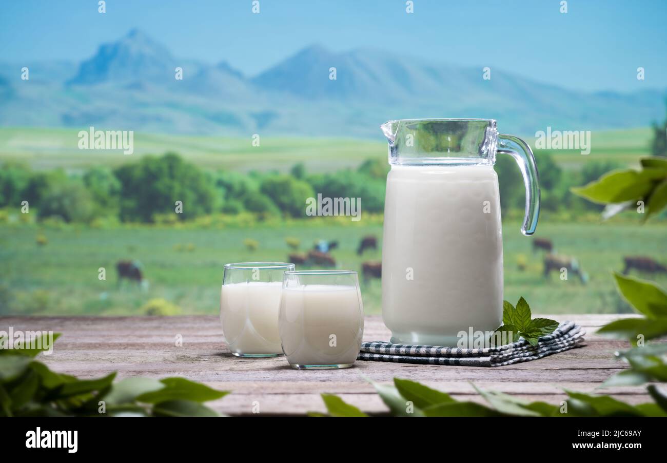 Caraffa per il latte e bicchieri sul tavolo con mucche da pascolo sullo sfondo. Latte biologico per un'alimentazione sana. Latte per la vita naturale Foto Stock