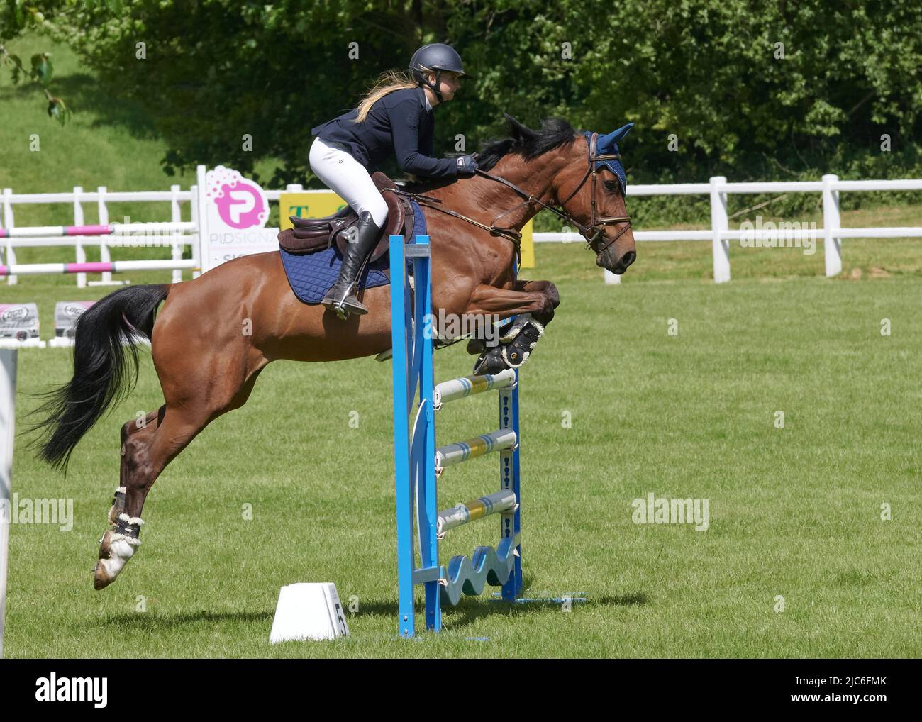 Cavalli e Riders al British Show Jumping Senior Season Opener, Bicton Arena, East Budleigh Salterton, Devon, Regno Unito. Credito: Will Tudor/Alamy Foto Stock