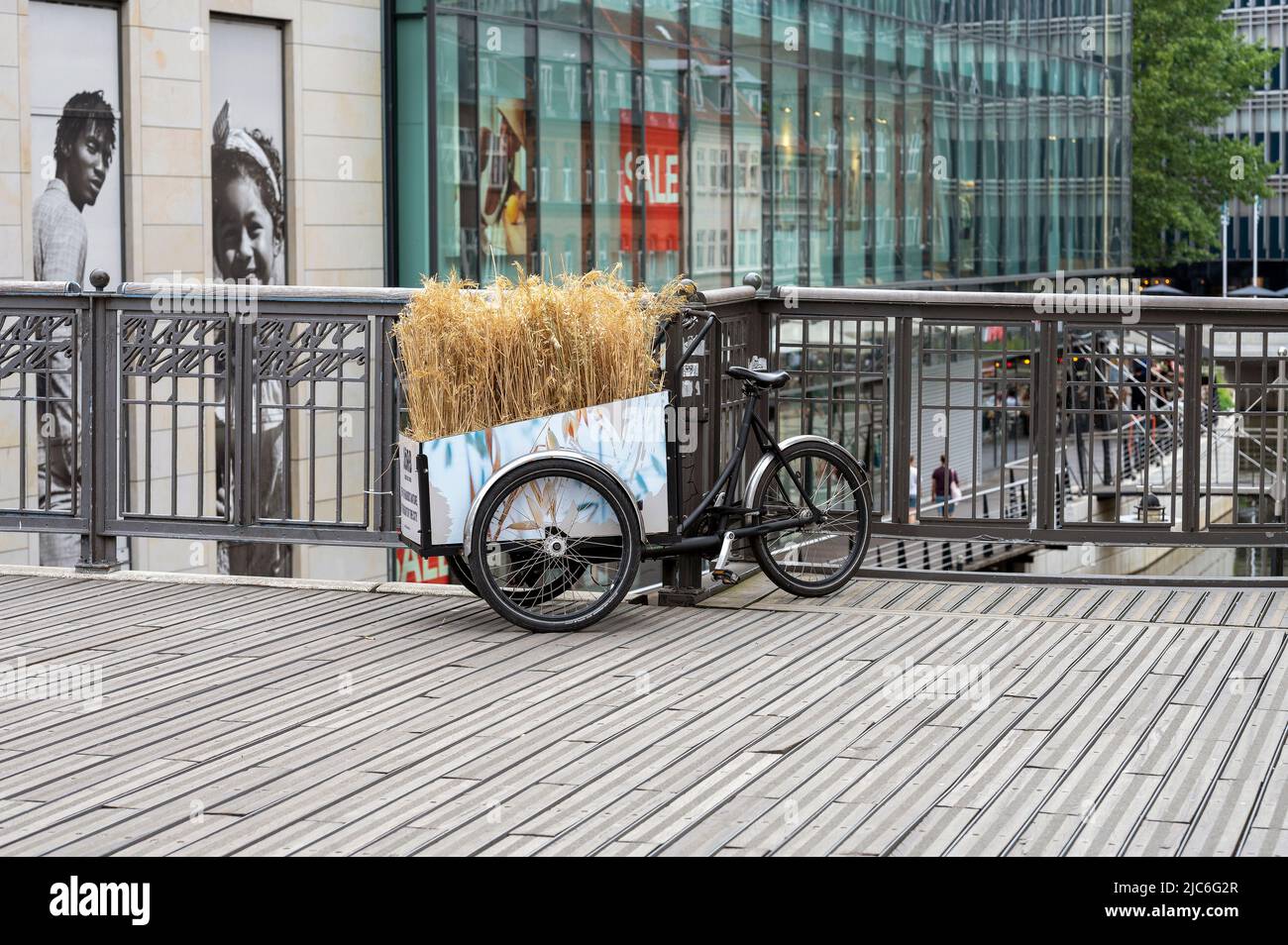 cargo bicicletta con cannucce di fieno in esso Foto Stock
