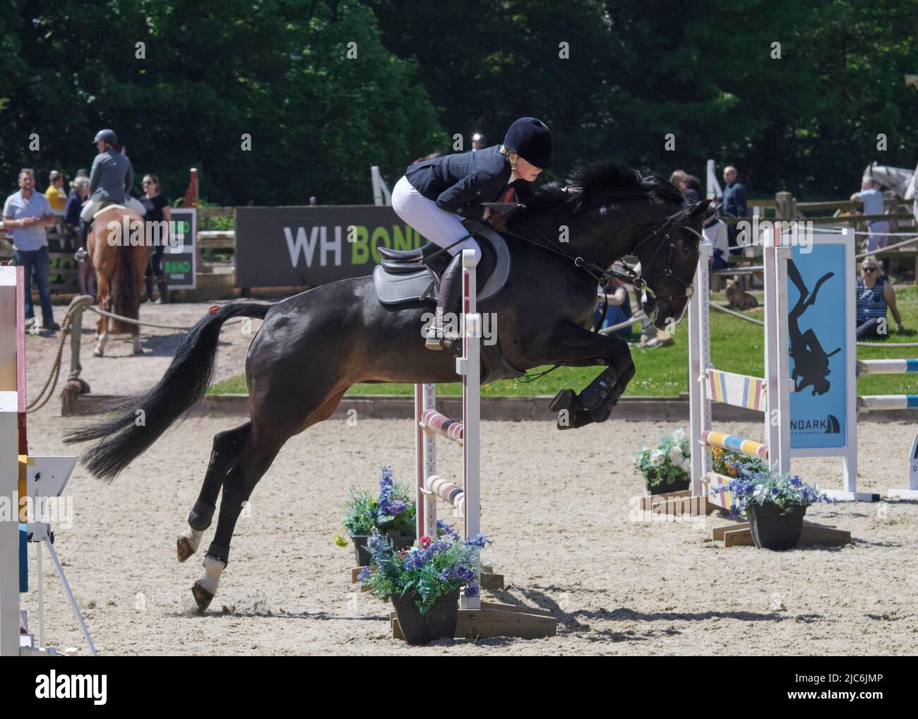 Cavalli e Riders al British Show Jumping Senior Season Opener, Bicton Arena, East Budleigh Salterton, Devon, Regno Unito. Credito: Will Tudor/Alamy Foto Stock