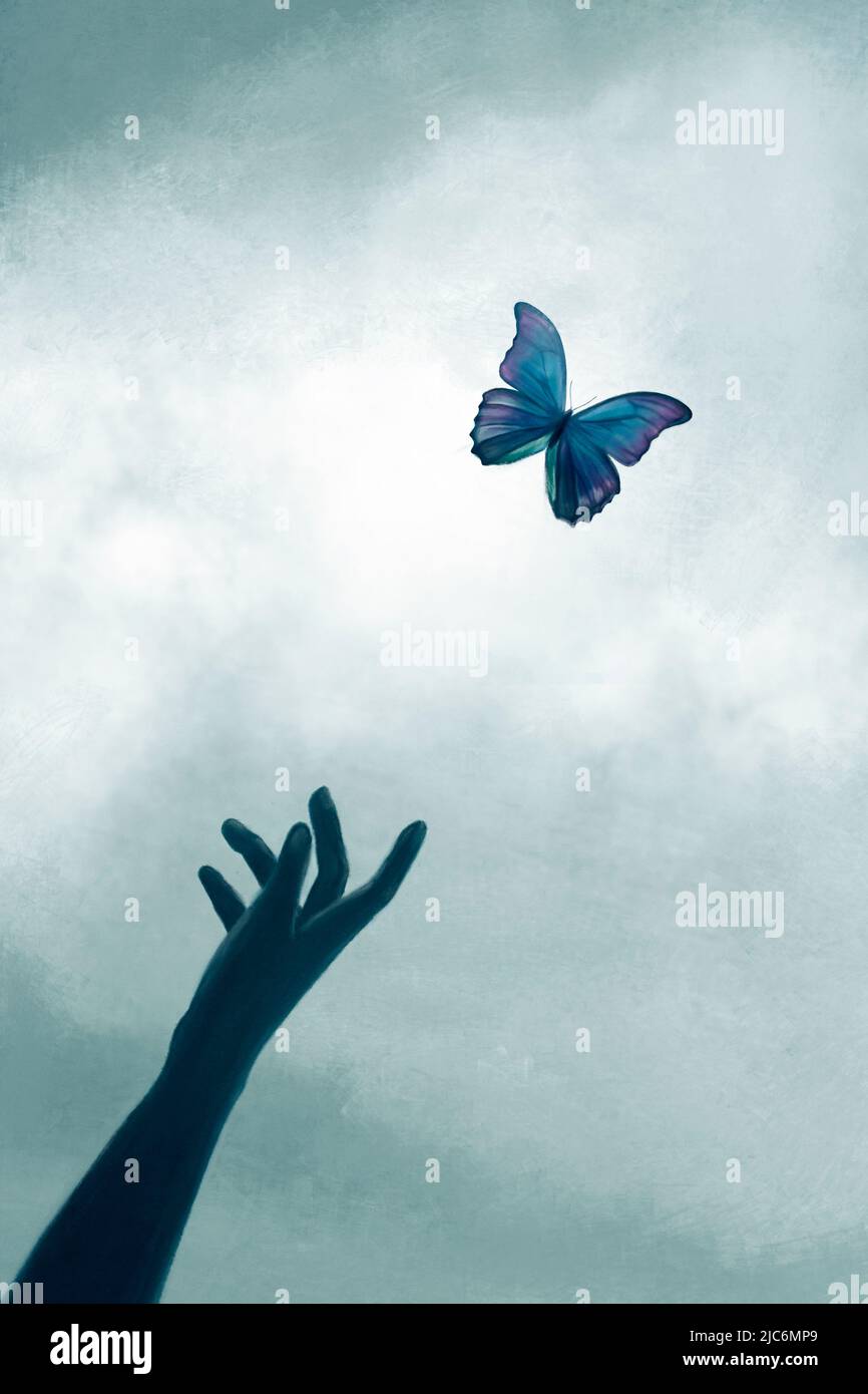 mano di una donna incontro con una farfalla libera volante Foto Stock