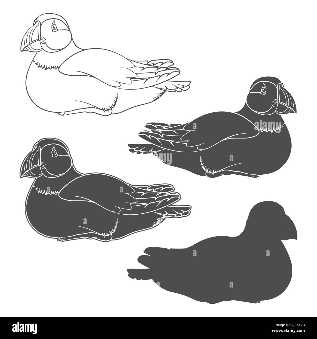 Set di illustrazioni in bianco e nero con uccello in puffin. Oggetti vettoriali isolati su sfondo bianco. Illustrazione Vettoriale