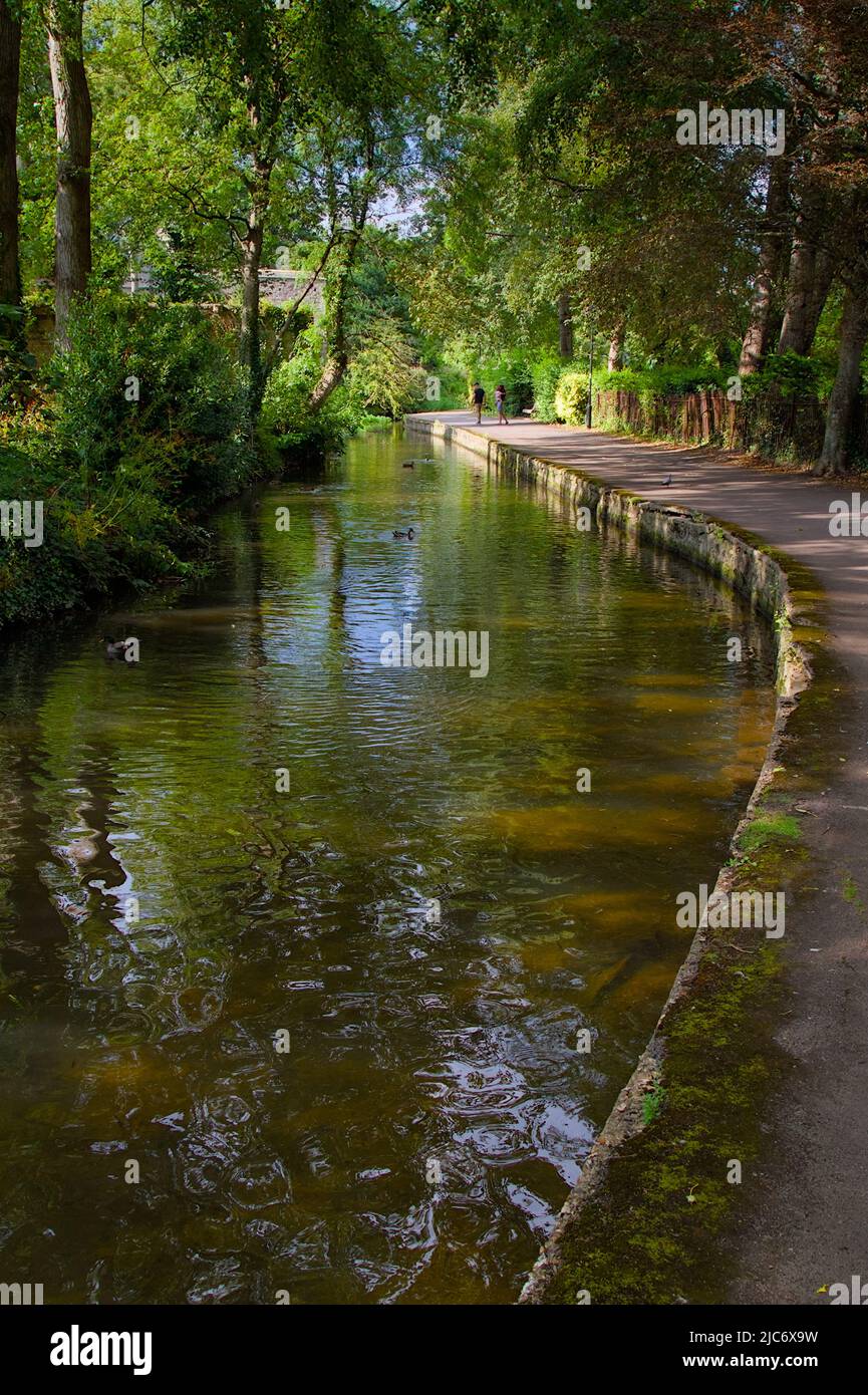Il Sentiero sotto gli alberi lungo il torrente Mill che corre accanto a Christchurch Priory, Christchurch UK Foto Stock