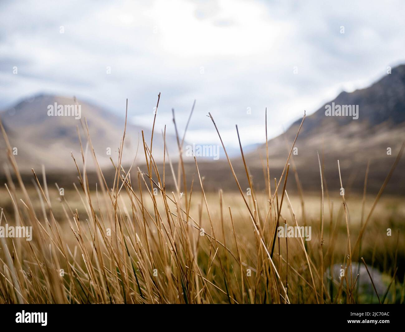 Le montagne e i campi di Long Grass sull'isola di Skye. Foto Stock