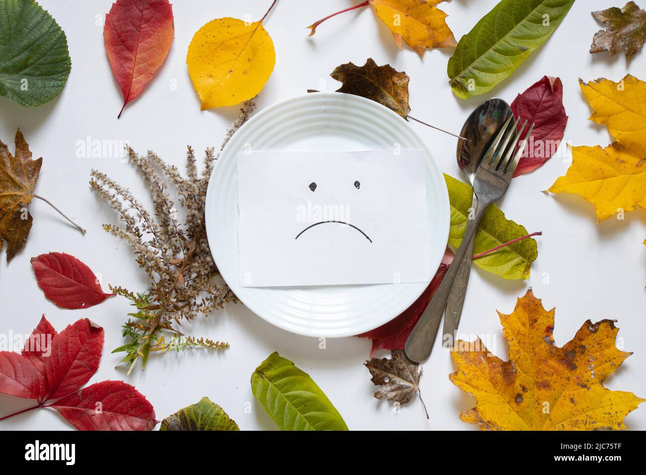 triste sorridere è disegnato su carta giace su un piatto bianco su una tavola bianca in autunno giallo foglie, tristezza depressione, crisi non ha nulla da mangiare Foto Stock