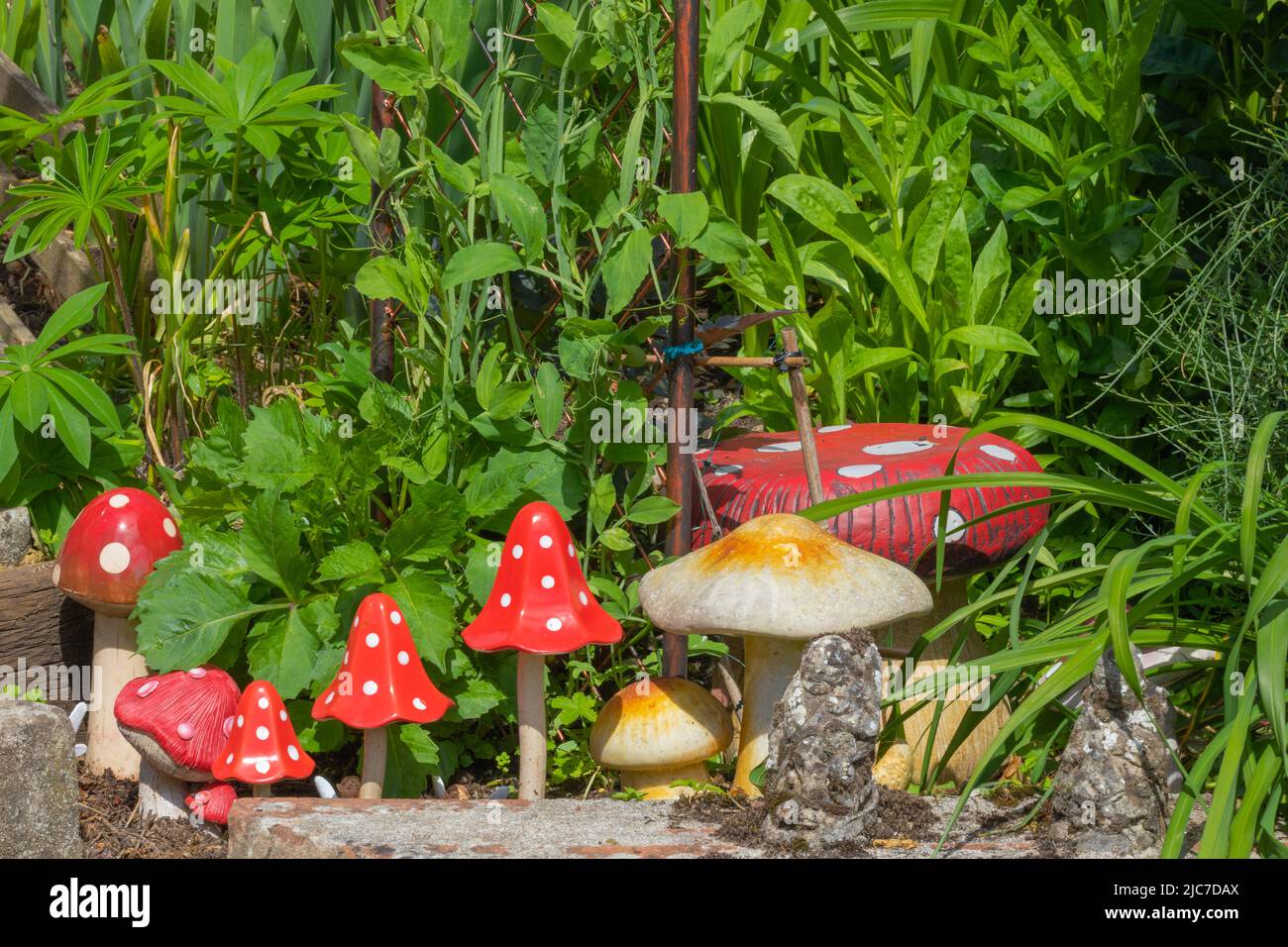 Un giardino ornamentale presenta funghi colorati Foto Stock