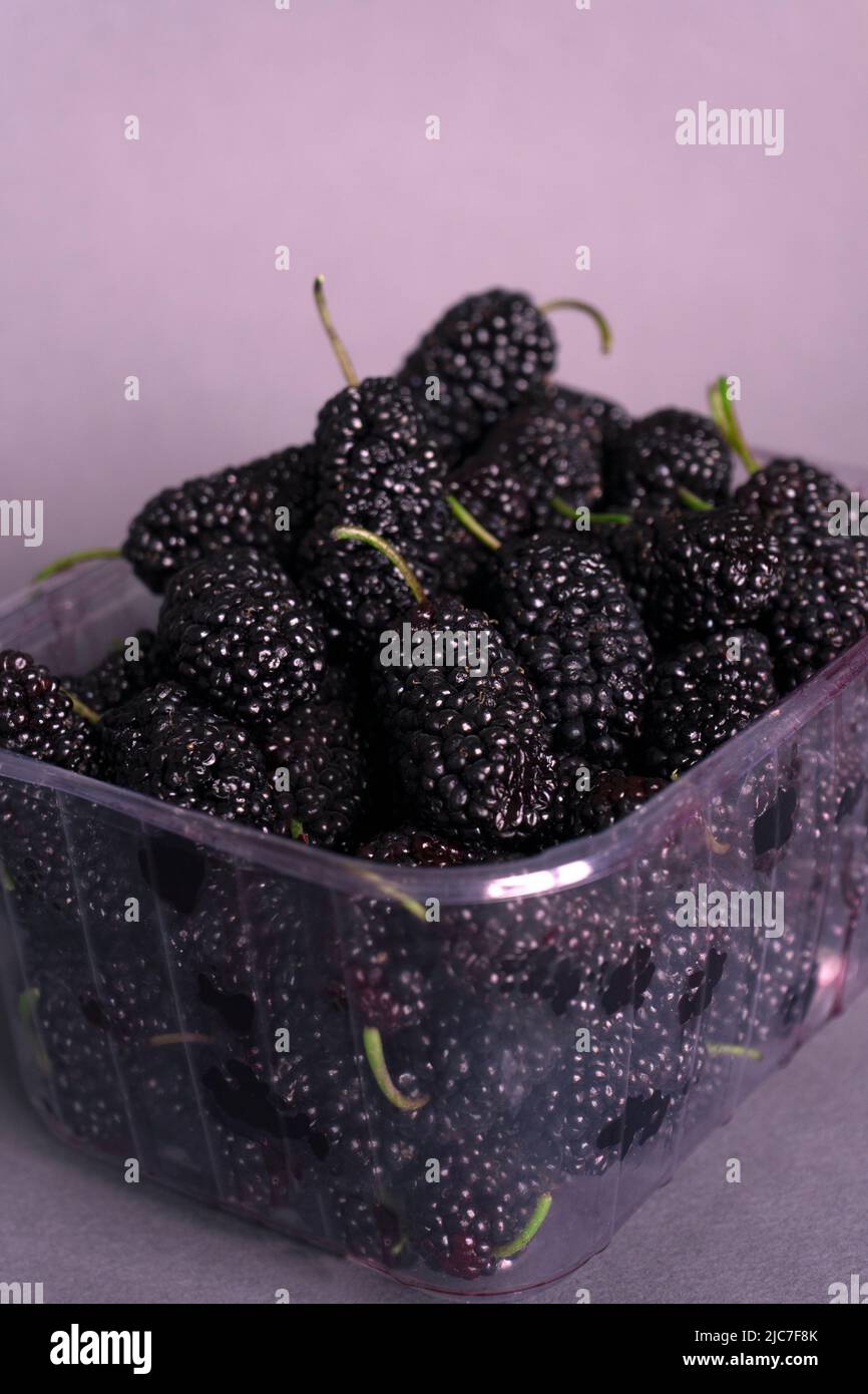 Mirtilli neri in scatola di plastica Confezione in vendita . Primo piano. Pronto a mangiare. Fondo lilla isolato. Foto Stock