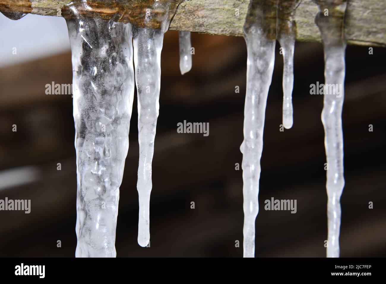 Stalattiti d'acqua invernali estremamente freddi Foto Stock