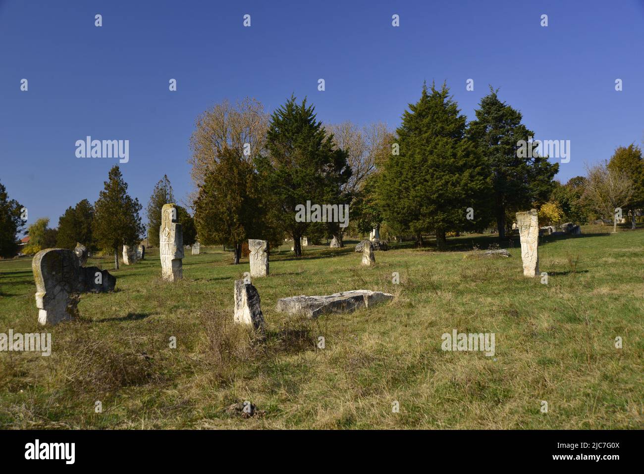 Vista parziale del memoriale di Oarba de Mures Foto Stock