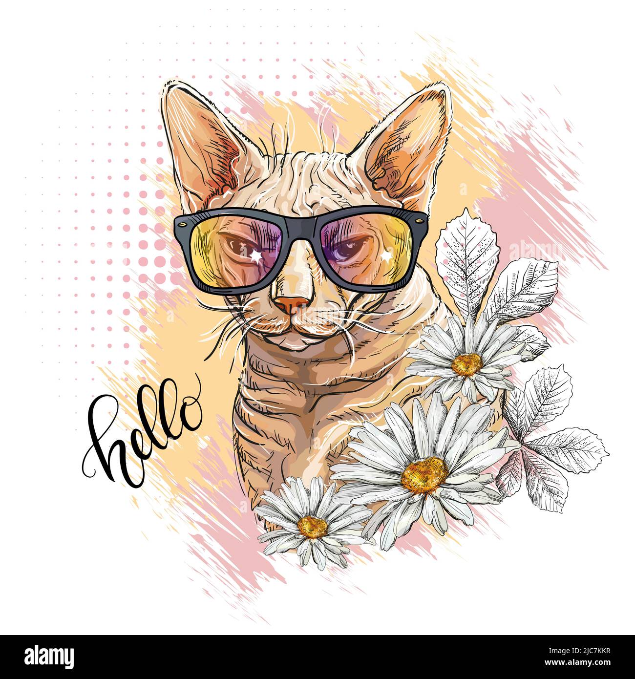 Testa di gatto di Sphinx in occhiali da sole e fiori. Ciao citazione scritta. Stampa stile disegnata a mano. Illustrazione vettoriale isolata su bianco. Composizione T-shirt, Illustrazione Vettoriale