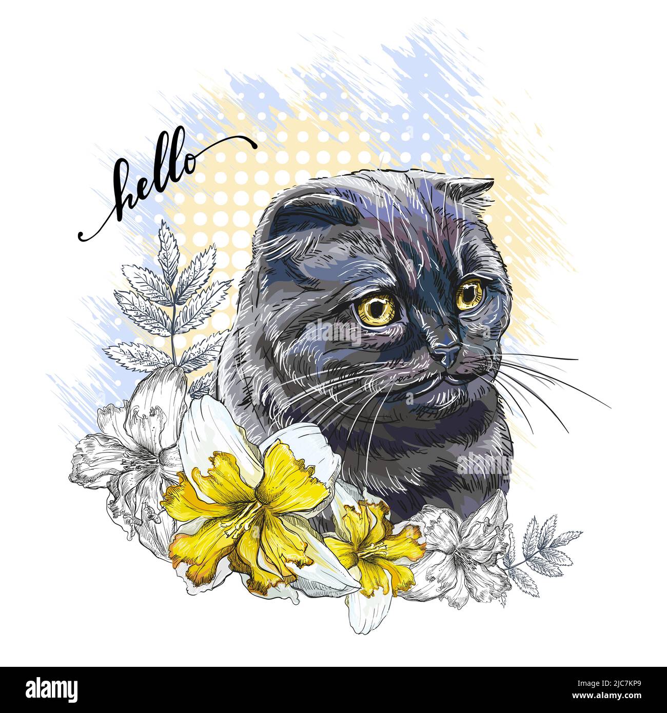 Testa di gatto e fiori Scottish fold. Ciao citazione scritta. Stampa stile disegnata a mano. Illustrazione vettoriale isolata su sfondo bianco. T-shirt compositi Illustrazione Vettoriale