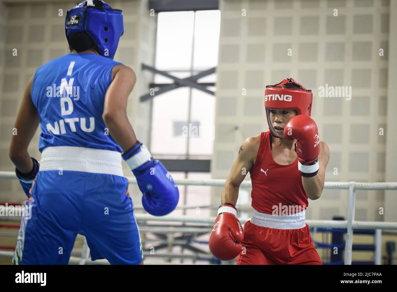 NEW DELHI, INDIA - GIUGNO 10: Boxer MC Mary Kom (Red) e Nitu (Blue) durante le prove di qualificazione Elite Women CWG 2022, all'IG Stadium il 10 giugno 2022 a New Delhi, India. Mary Kom, sei volte campione del mondo di pugilato, è stata esclusa dai Giochi del Commonwealth del 2022 dopo aver ferito se stessa nel primo round delle semifinali di prova del 48kg. (Foto di Sanchit Khanna/Hindustan Times/Sipa USA) Foto Stock