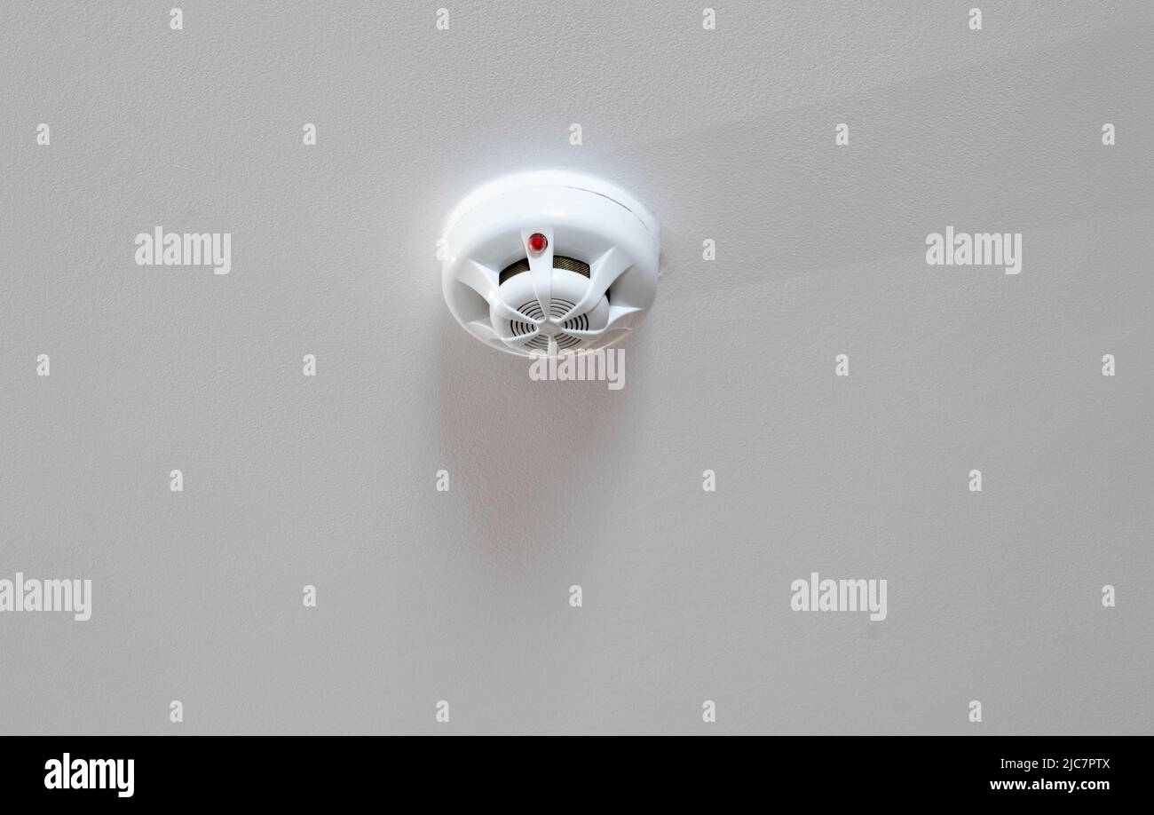 Sensore antincendio montato a soffitto. Moderno rilevatore di fumo a  soffitto Foto stock - Alamy