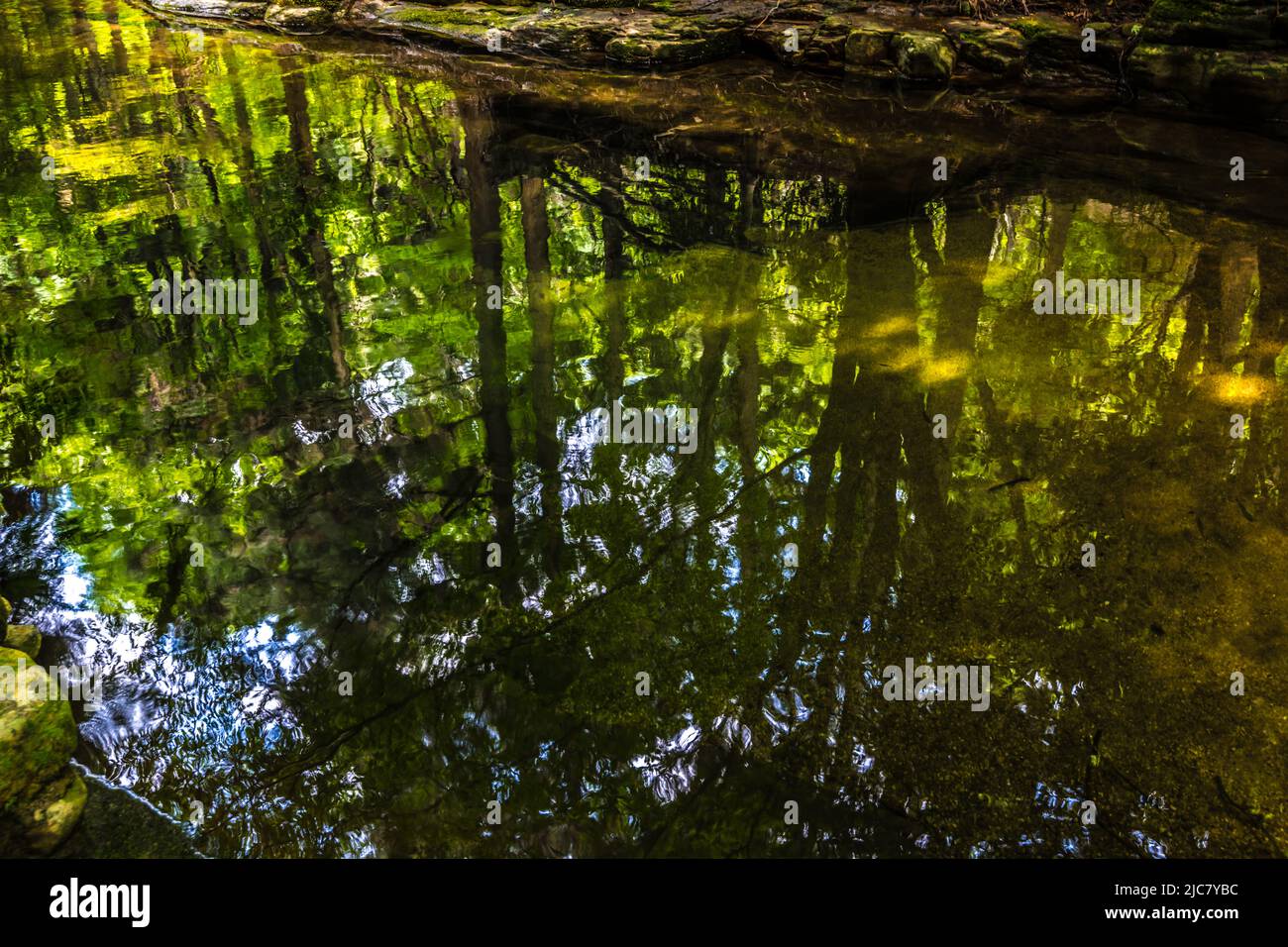 Silhouette di alberi che si riflette su una tranquilla superficie d'acqua di un ruscello di montagna Foto Stock