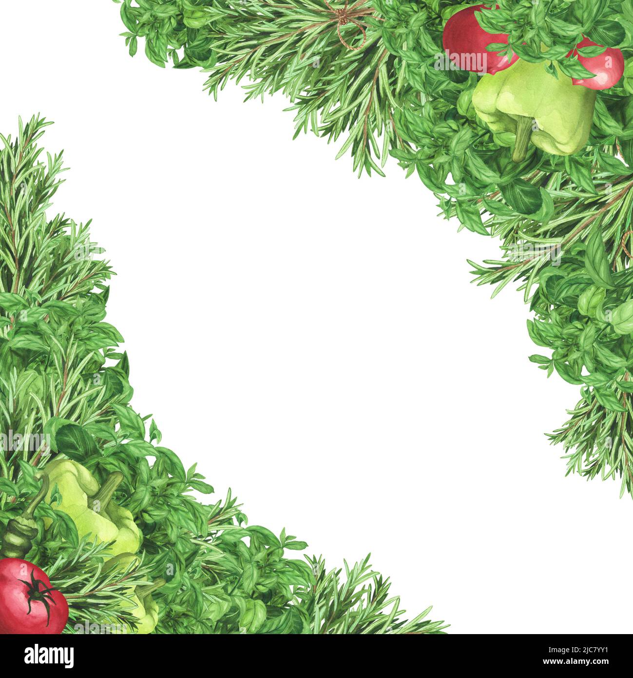 Bordare con basilico alle erbe fresche, rosmarino, pomodori maturi, peperoncino. Watercolor cornice quadrata disegnata a mano. Illustrazione per menu, imballaggio, biologico pro Foto Stock