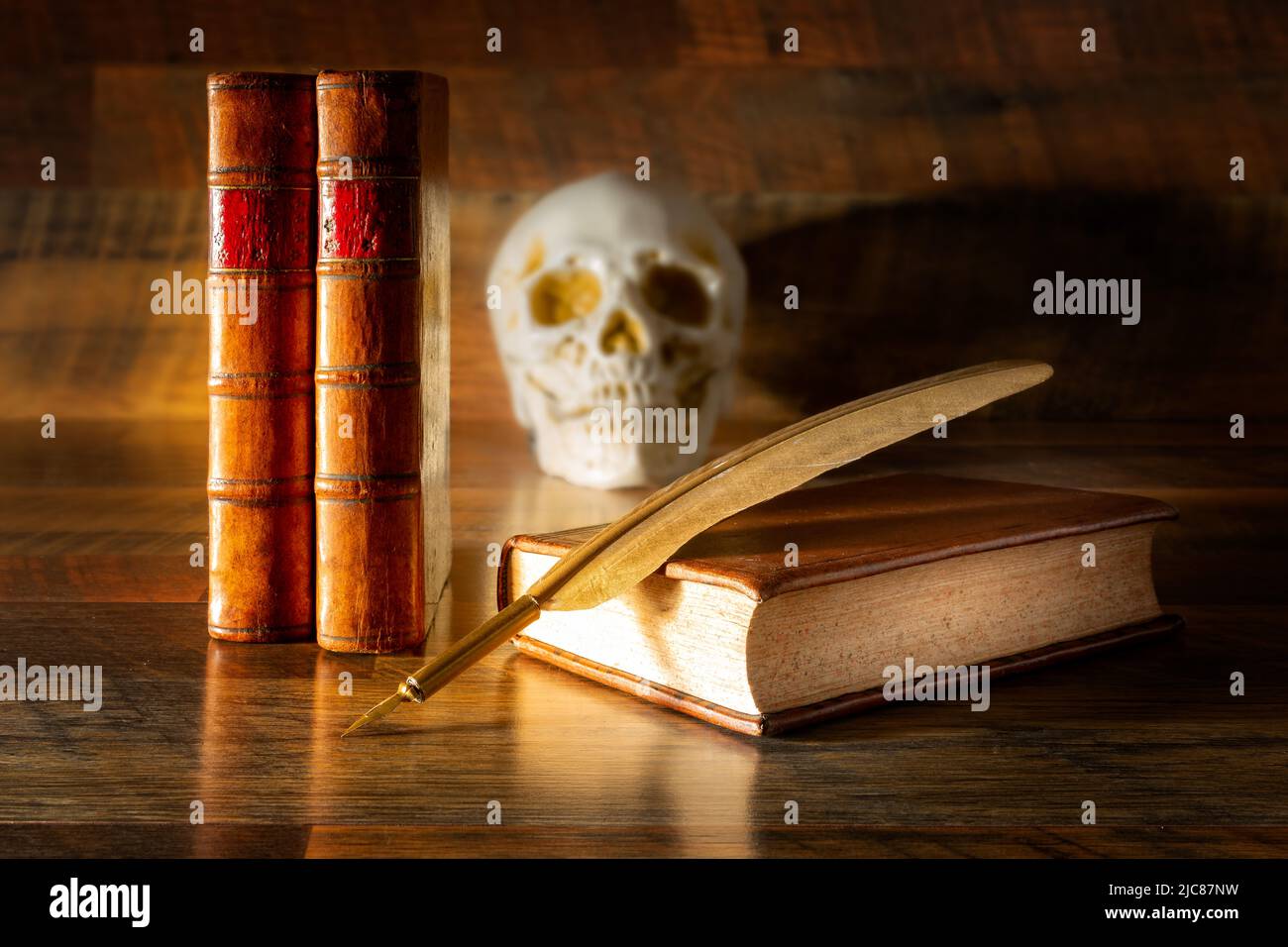 Libri antichi su uno sfondo di legno e un pennino, concetto di apprendimento non diventa mai vecchio Foto Stock
