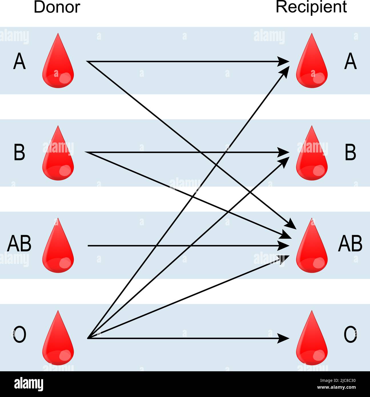 Ricevente e donatore. Tipi di sangue (A, B, AB, o). Esiste una compatibilità specifica tra i gruppi per donare e ricevere sangue. Solo una certa t Illustrazione Vettoriale