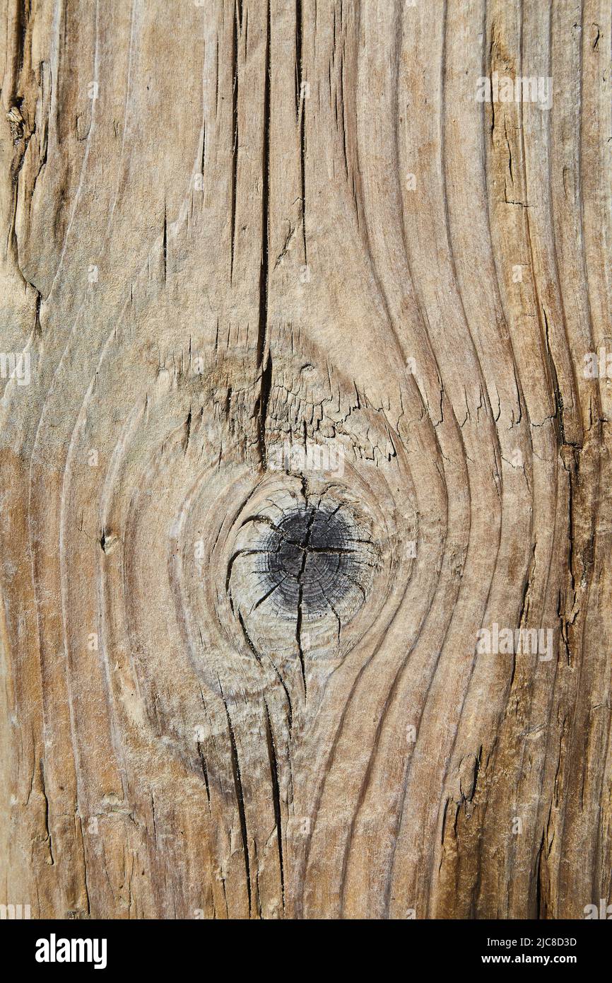 Texture naturale di vecchio asse di legno con nodi e cricche sabbiato con pece e vento Foto Stock