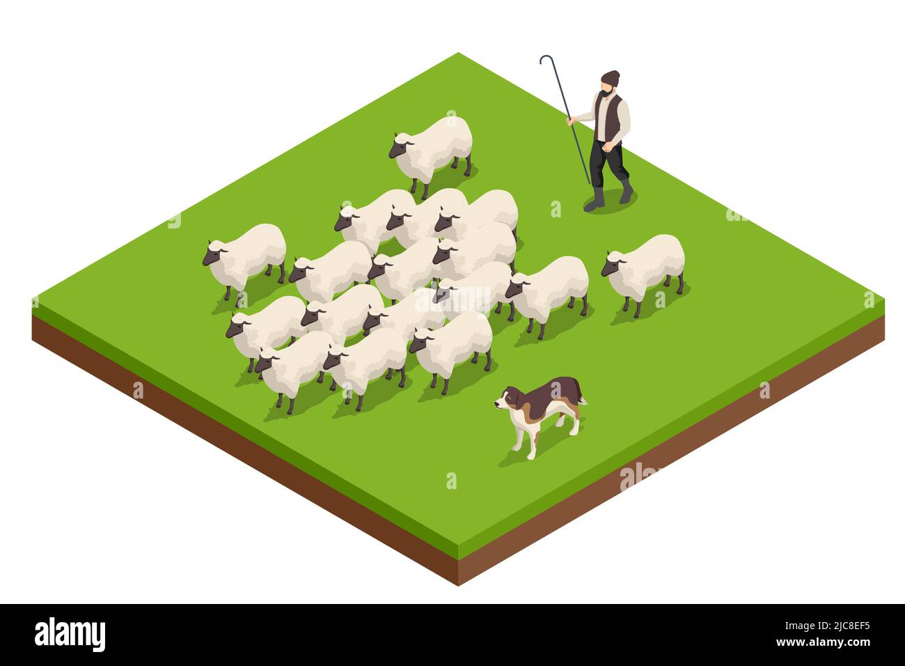 L'isometrico passa in un prato sull'erba verde. Pecora su una fattoria. Gregge di pecore con pastore e cane Illustrazione Vettoriale