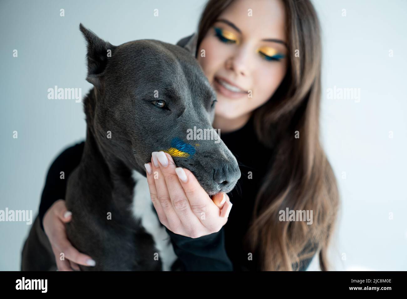 giovane ucraino bello gioco femminile con staffordshire terrier cane a zappa Foto Stock