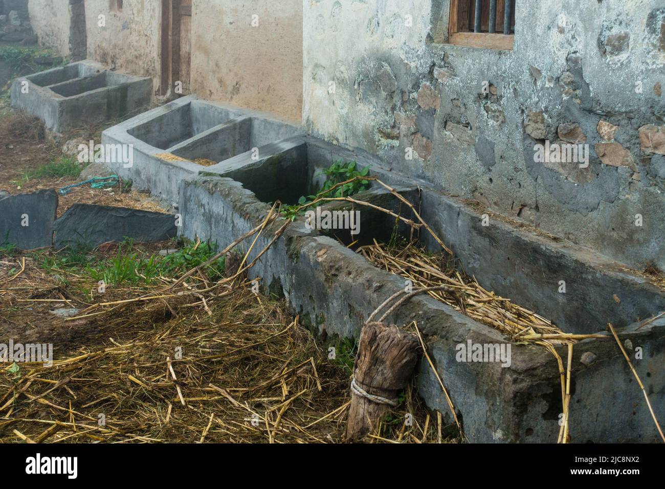 Casa di bestiame domestico e mangiatoie per bestiame bovino in India rurale della regione himalayan. Uttarakhand India. Foto Stock