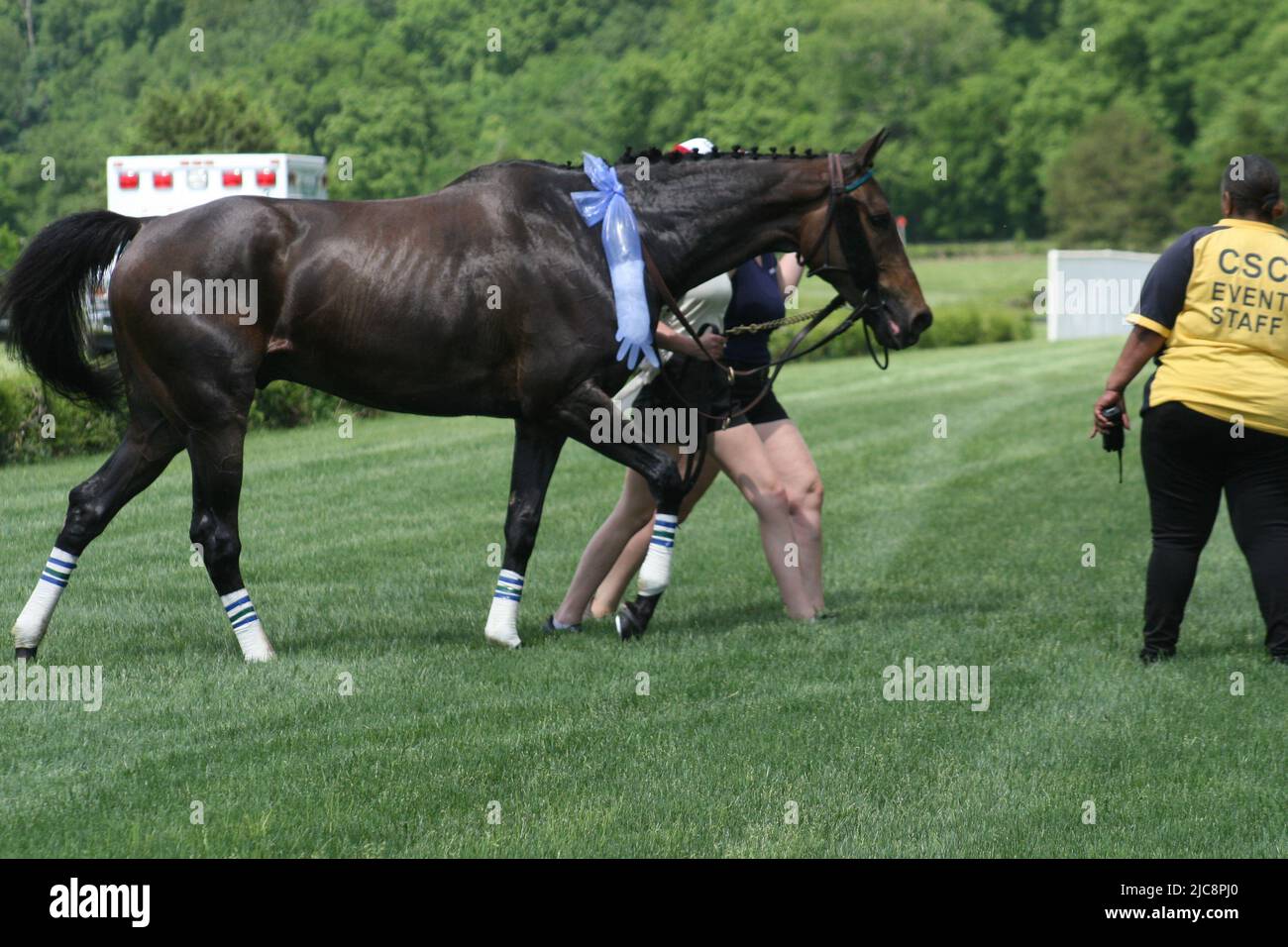 Iroquois Steeplechase 2022 a Percy Warner Park-Franklin, Tennessee, USA. Foto Stock